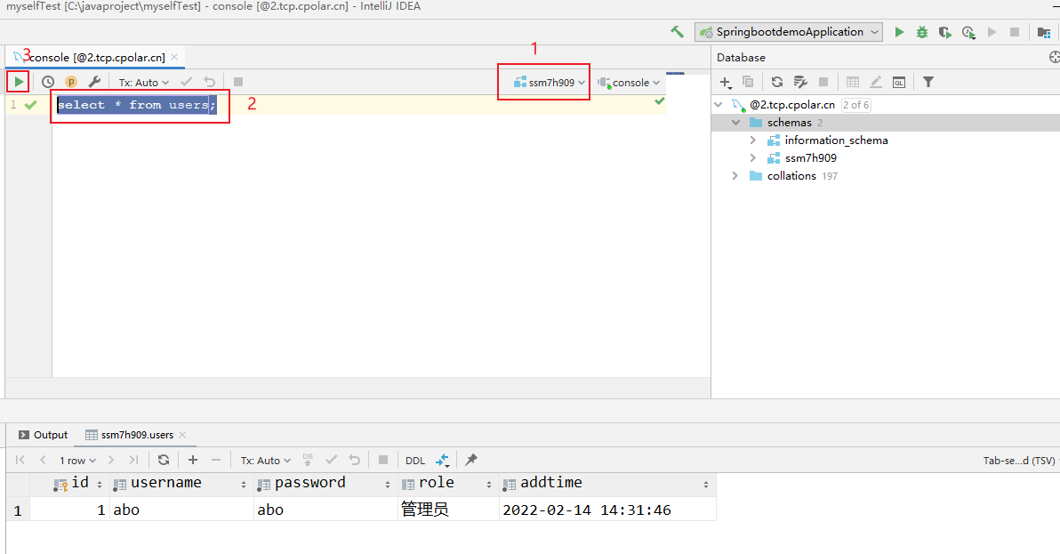 IntelliJ IDEA如何使用固定地址公网远程访问本地Mysql数据库,image-20231208134605252,第10张