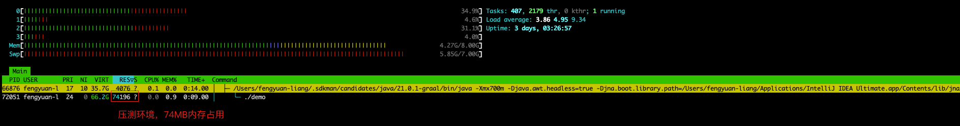 springBoot3.2 + jdk21 + GraalVM上手体验,image-20231201173732084,第3张