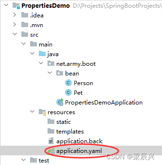Spring Boot Application.properties和yaml配置文件,在这里插入图片描述,第31张