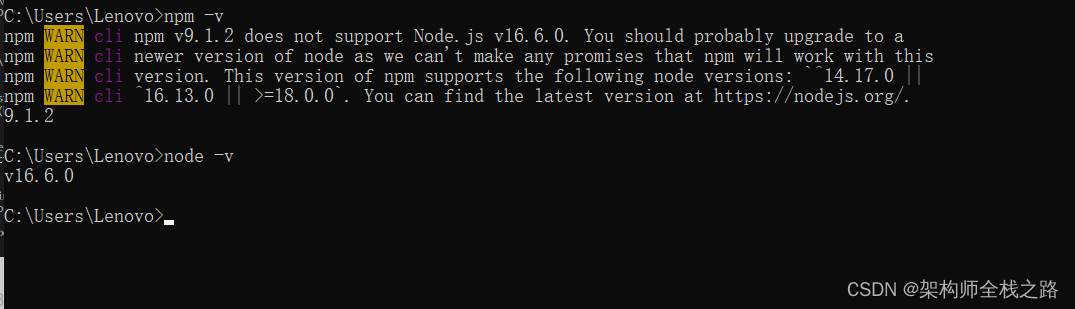 成功解决：npm 版本不支持node.js。【 npm v9.1.2 does not support Node.js v16.6.0.】,在这里插入图片描述,第3张