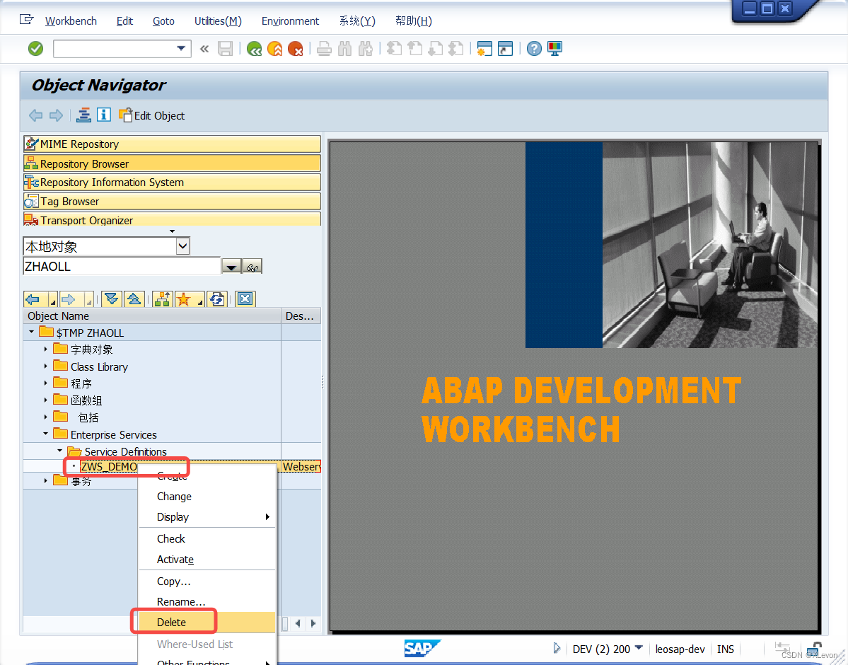 【SAP ABAP】SAP Webservice & RESTful 接口服务发布教程,在这里插入图片描述,第31张