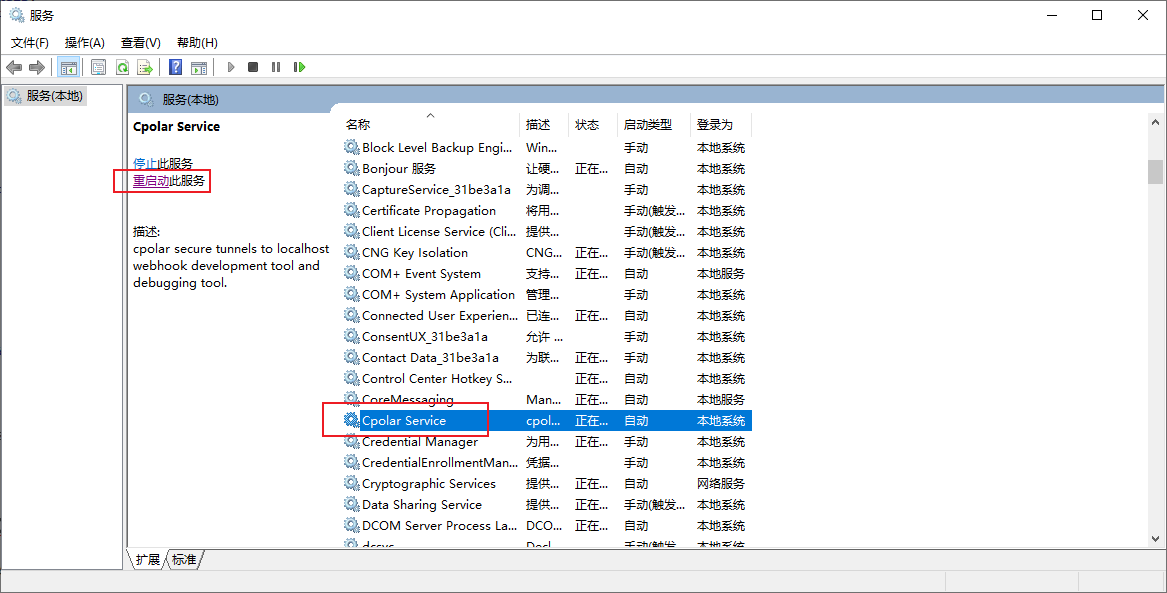 如何使用内网穿透工具实现Java远程连接本地Elasticsearch搜索分析引擎,image-20231113141414399,第4张