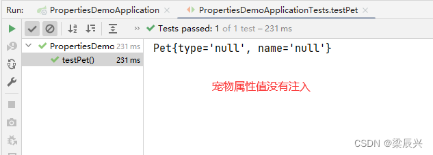 Spring Boot Application.properties和yaml配置文件,在这里插入图片描述,第25张