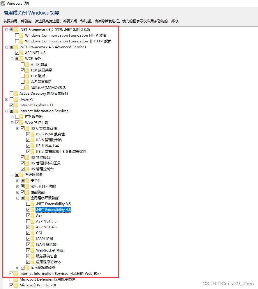 Asp .Net Web应用程序（.Net Framework4.8）网站发布到IIS,第3张