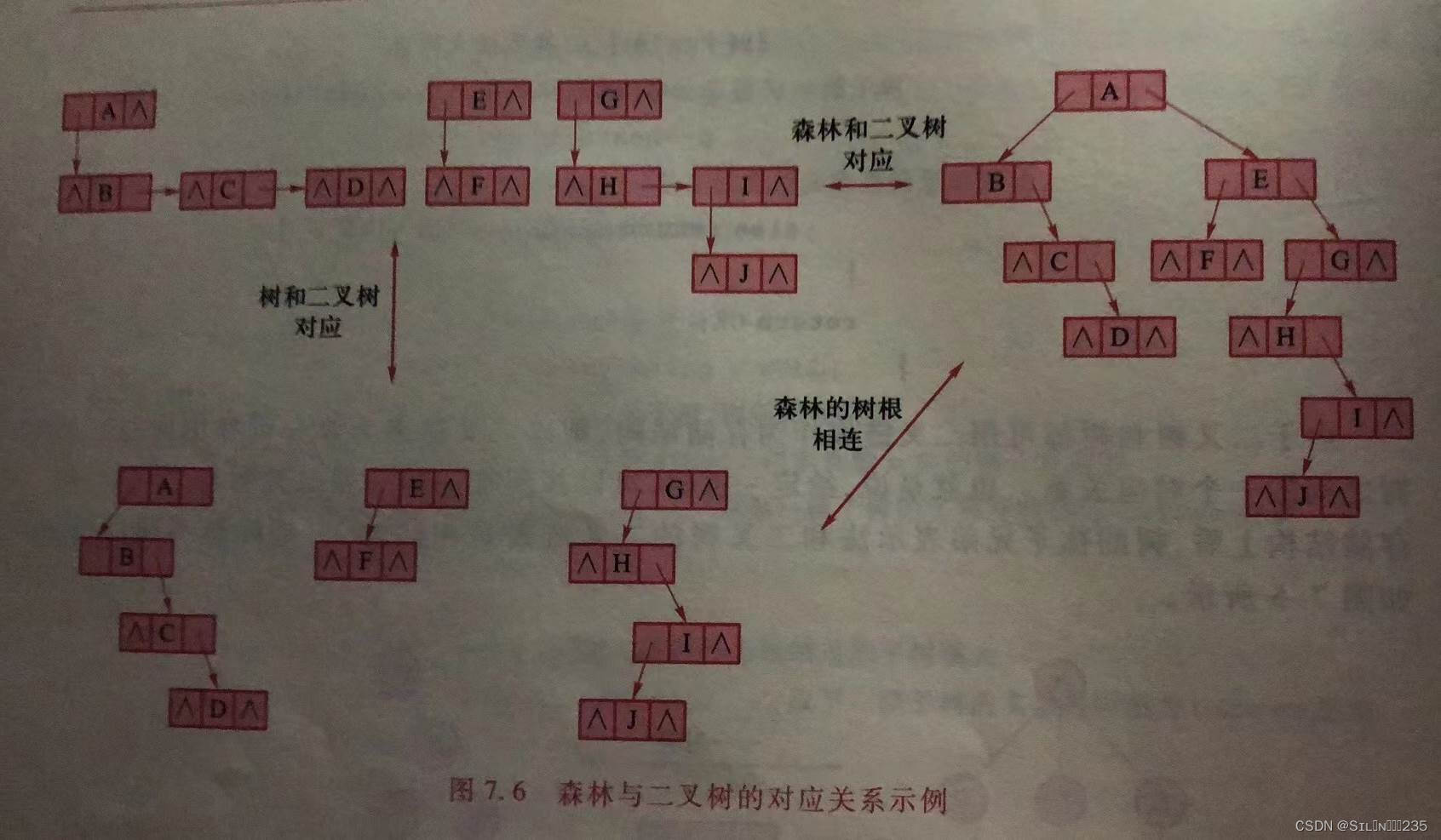 《数据结构》第七章：树和森林,第5张