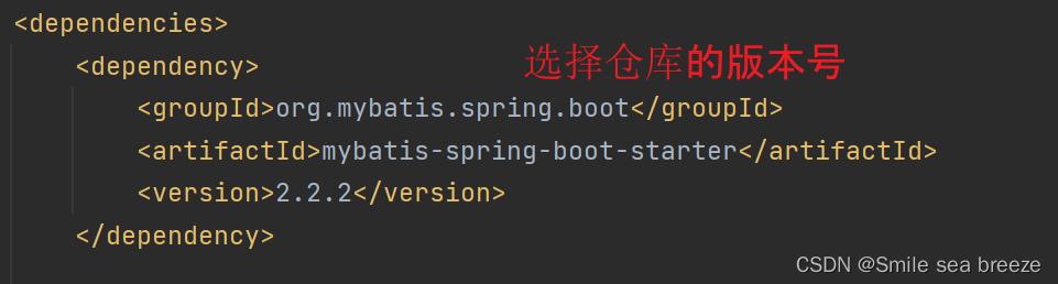 Unresolved dependency: ‘org.mybatis.spring.boot:mybatis-spring-boot-starter:jar:xxx‘,在这里插入图片描述,第3张