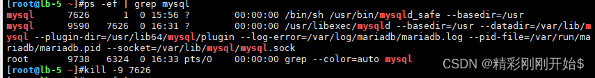 Job for nginx.service failed because the control process exited with error code. See “systemctl stat,第4张