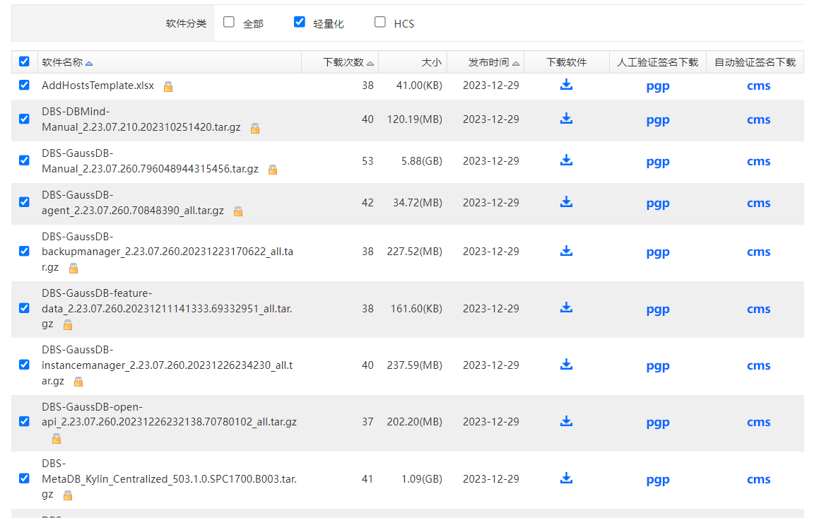 GaussDB HCS 轻量化部署软件下载指引,2.2步骤二.png,第6张