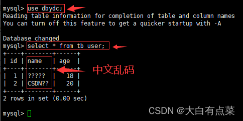 写最好的Docker安装最新版MySQL8（mysql-8.0.31）教程（参考Docker Hub和MySQL官方文档）,Client连接Server查看表中数据，中文显示为乱码,第9张