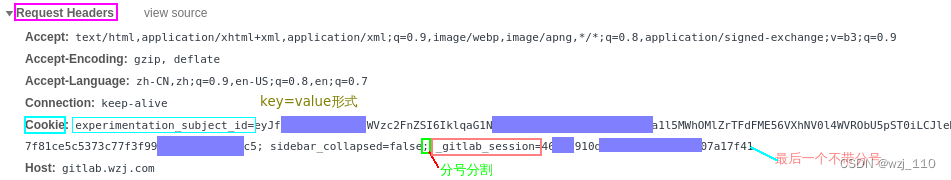 nginx(七十二)nginx中与cookie相关的细节探讨,第2张