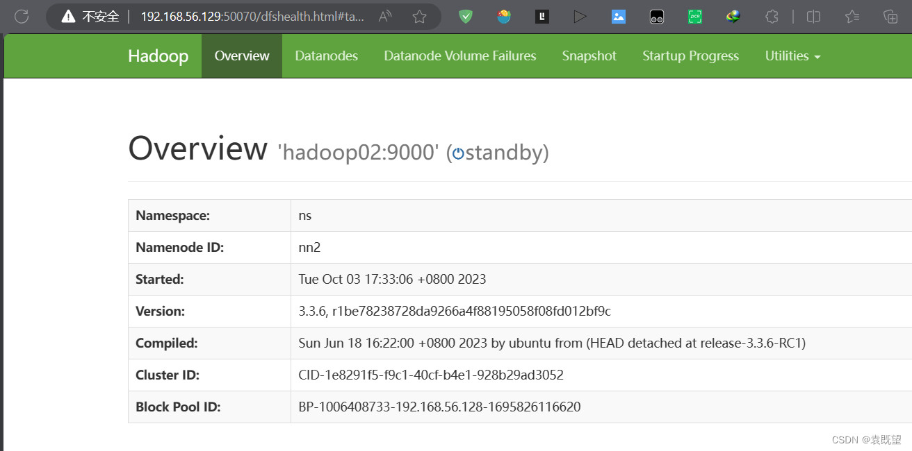 Hadoop 分布式集群搭建教程（2023在校生踩坑版）,第64张