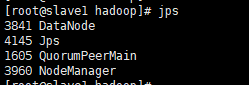 Hadoop3.x完全分布式模式下slaveDataNode节点未启动调整,第6张