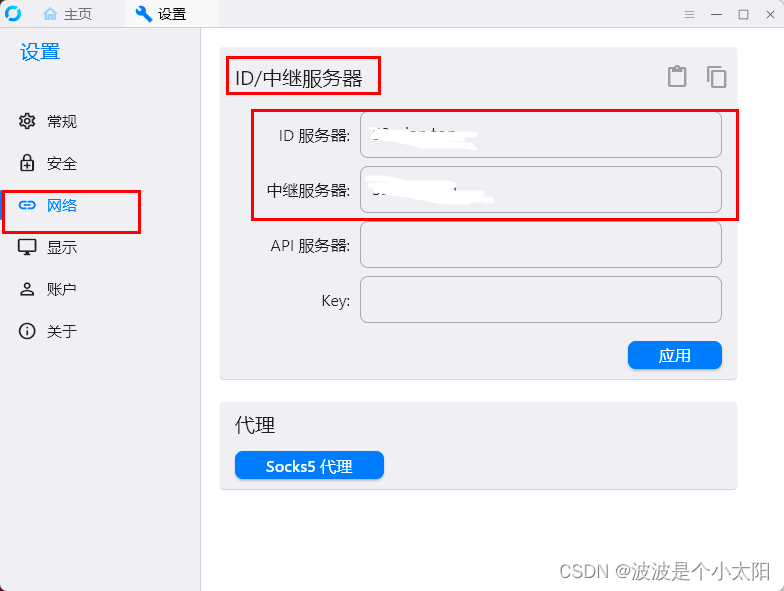 自己搭建远程桌面服务器-RustDesk（小白版）,第2张