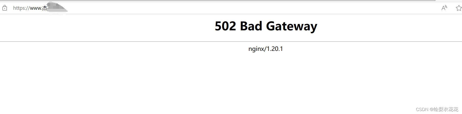 网页502 Bad Gateway nginx1.20.1报错与解决方法,第2张