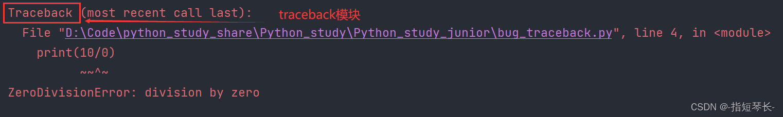 Python急速入门——（第十章：bug和调试）,在这里插入图片描述,第5张