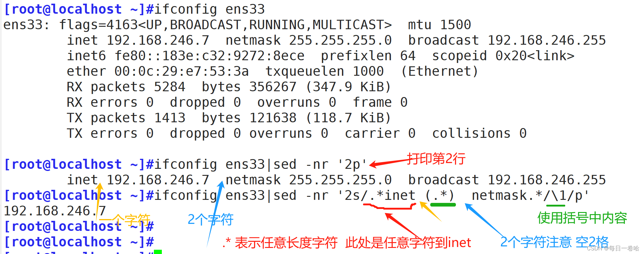 Linux系统Shell脚本-----------正则表达式 文本三剑客之---------grep、 sed,第64张