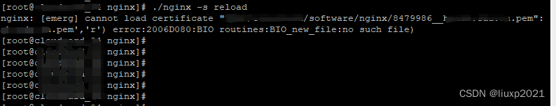 Nginx配置证书报错nginx: [emerg] cannot load certificate “..softwarenginxzhifu.pem“: BIO,第1张