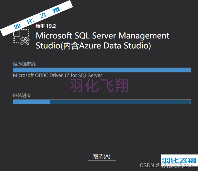 SQL Server 2022软件安装教程(附软件下载地址),SQL Server 2022软件安装教程(附软件下载地址)_1_示意图,第20张