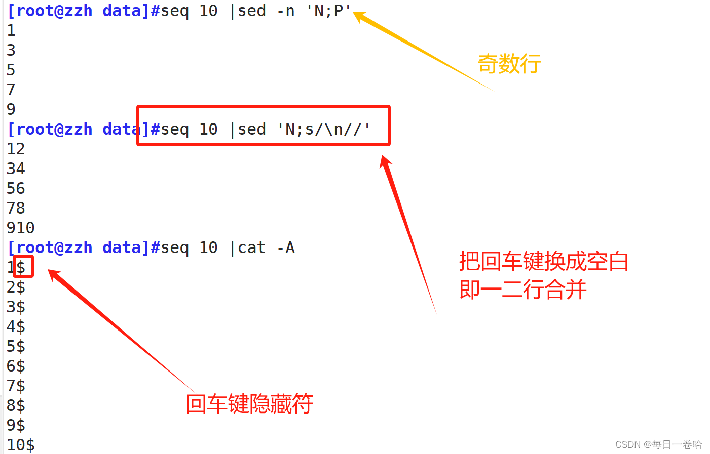 Linux系统Shell脚本-----------正则表达式 文本三剑客之---------grep、 sed,第84张