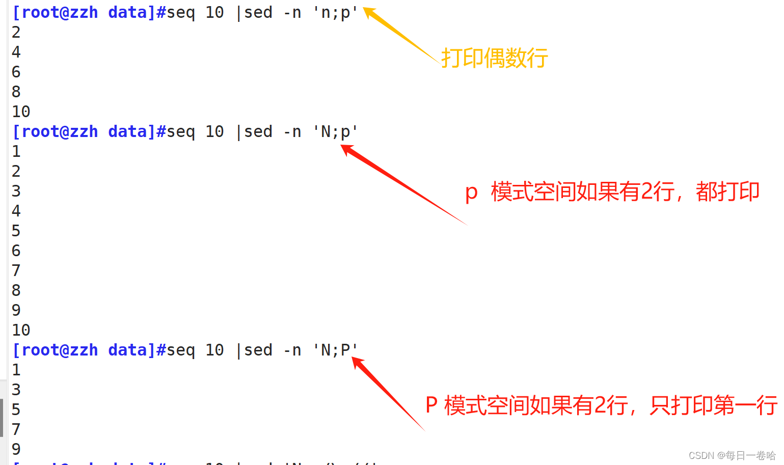 Linux系统Shell脚本-----------正则表达式 文本三剑客之---------grep、 sed,第83张