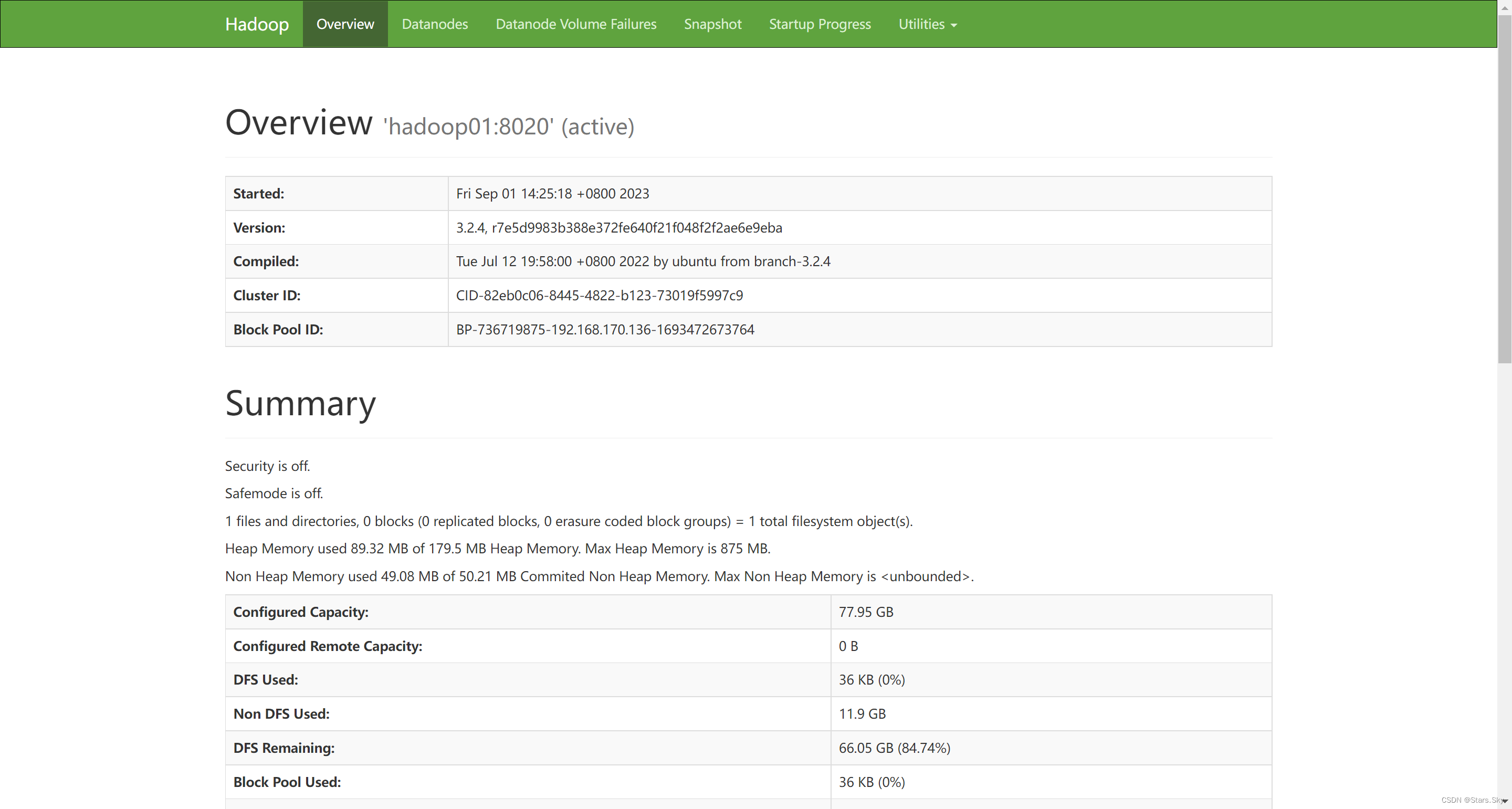 Hadoop 3.2.4 集群搭建详细图文教程,第6张