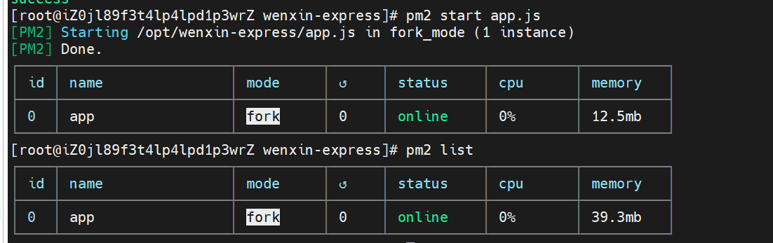 新购服务器项目部署指南—— Express + Vue + Nginx+ pm2 Nodejs项目部署全流程,在这里插入图片描述,第8张