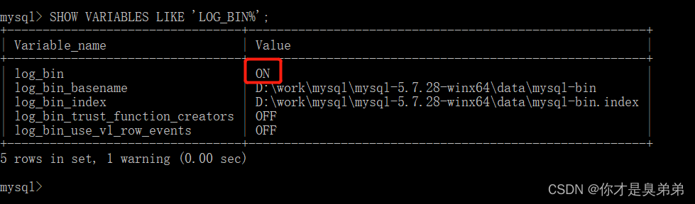 MySQL数据库误删恢复,第5张