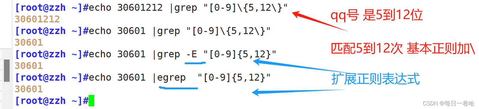 Linux系统Shell脚本-----------正则表达式 文本三剑客之---------grep、 sed,第24张