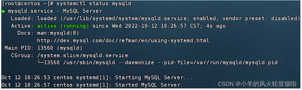 Linux部署MySQL5.7和8.0版本 | CentOS和Ubuntu系统详细步骤安装,第3张