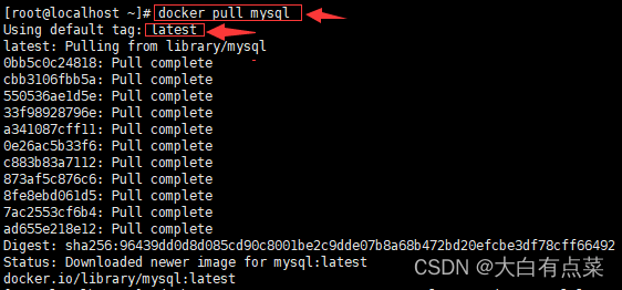 写最好的Docker安装最新版MySQL8（mysql-8.0.31）教程（参考Docker Hub和MySQL官方文档）,拉取MySQL镜像,第7张