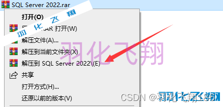 SQL Server 2022软件安装教程(附软件下载地址),SQL Server 2022软件安装教程(附软件下载地址)_1_示意图,第3张