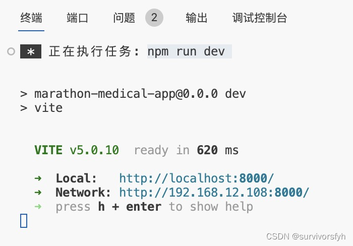 npm run dev,vite 配置 ip 访问,第1张