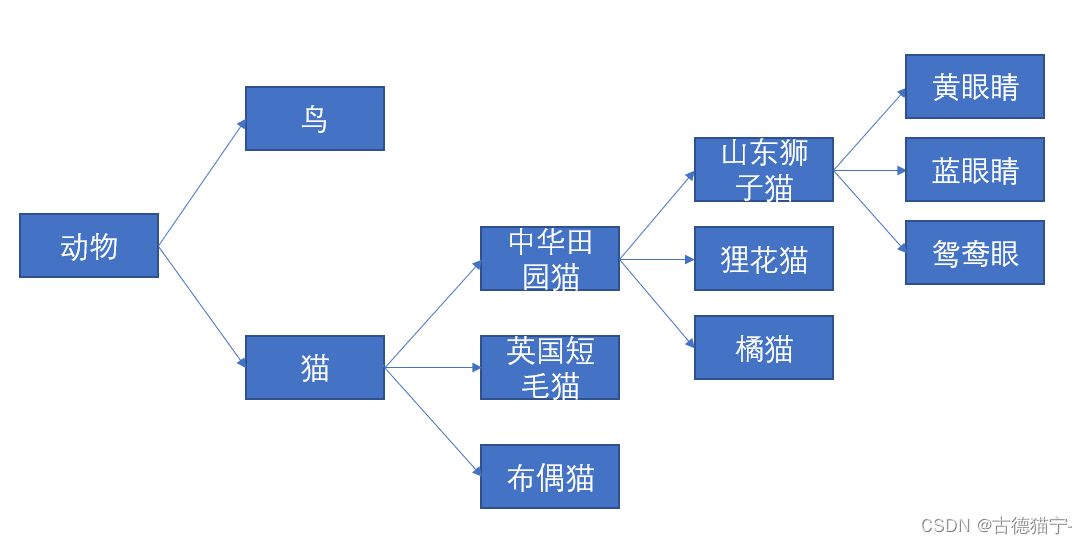 【我与Java的成长记】之继承详解（二）,在这里插入图片描述,第5张