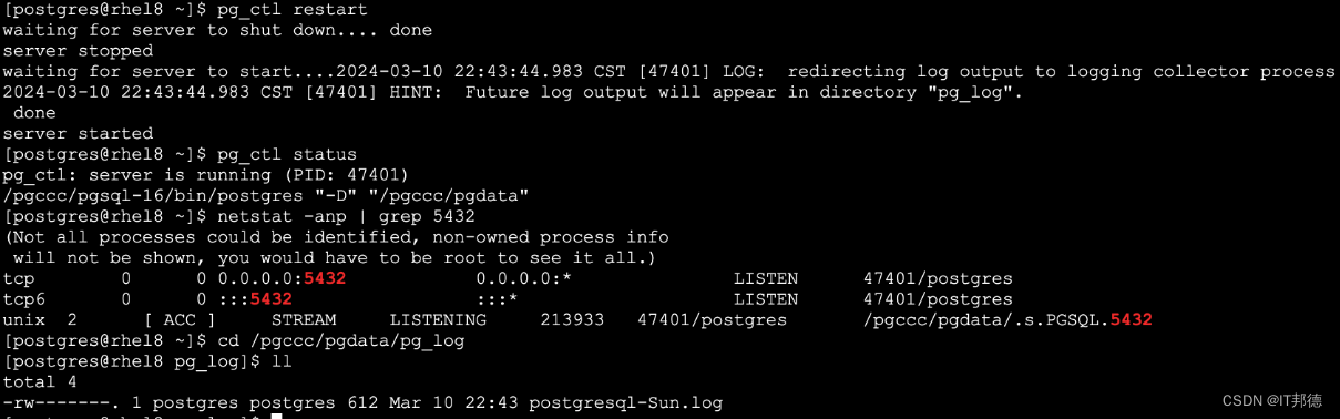 狂飙Linux平台，PostgreSQL16部署大全,在这里插入图片描述,第8张