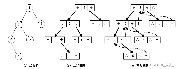 数据结构——二叉树（上）,第15张