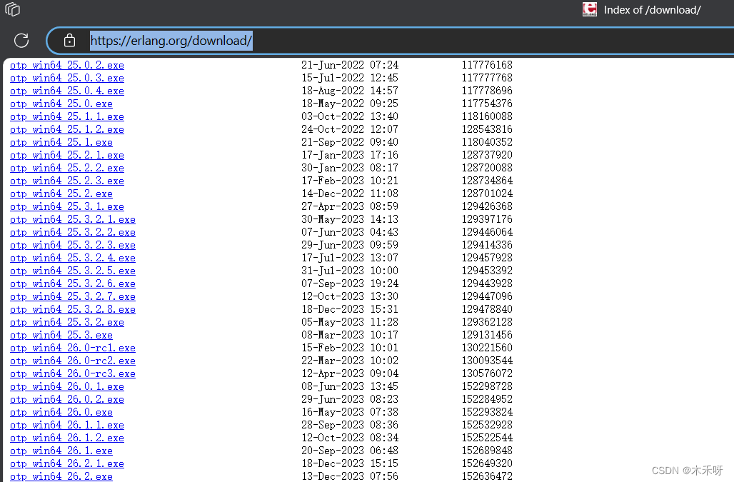 Erlang、RabbitMQ下载与安装教程（windows超详细）,第2张