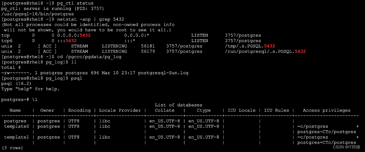 狂飙Linux平台，PostgreSQL16部署大全,在这里插入图片描述,第11张