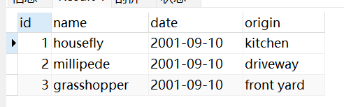 MySQL 教程---菜鸟教程,在这里插入图片描述,第49张