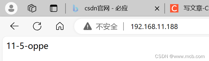 实操keepalived（高可用）+Nginx（四层代理+七层代理），实现高可用、负载均衡以及动静分离,第114张