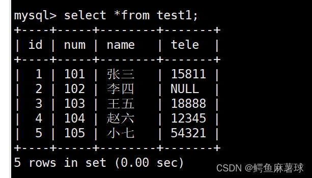 【MySQL】表的增删改查——MySQL基本查询、数据库表的创建、表的读取、表的更新、表的删除,在这里插入图片描述,第6张