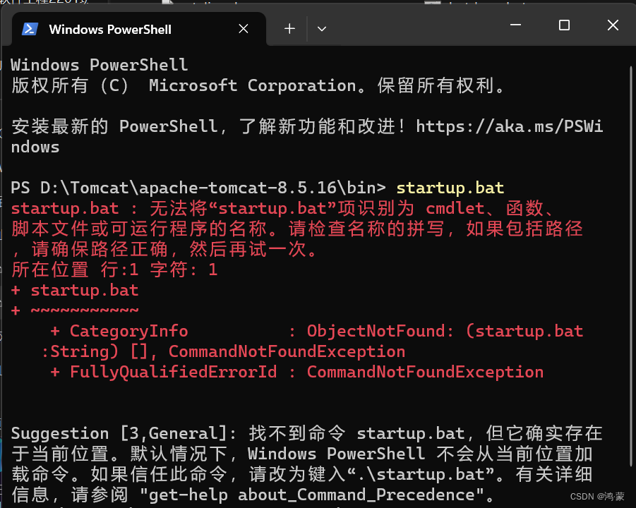 在【IntelliJ IDEA】中配置【Tomcat】【2023版】【中文】【图文详解】,第6张