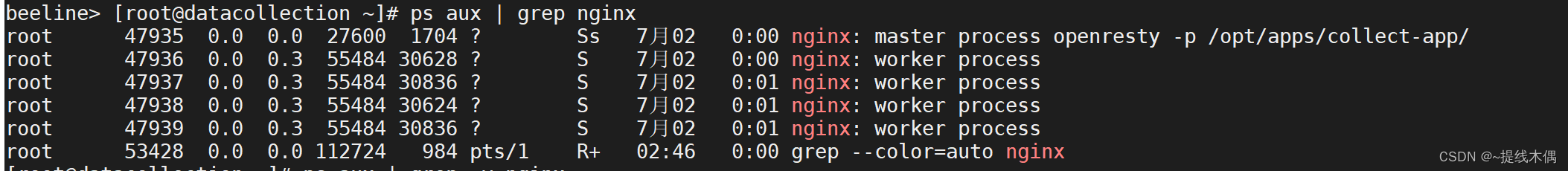 linux使用grep命令查询nginx的进程情况时总是出现 grep --color=auto nginx,在这里插入图片描述,第1张