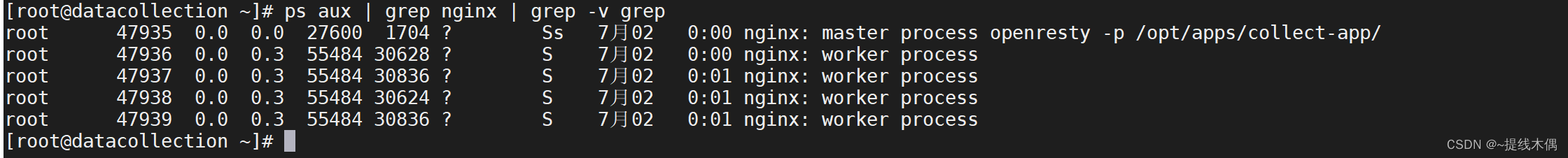 linux使用grep命令查询nginx的进程情况时总是出现 grep --color=auto nginx,在这里插入图片描述,第2张