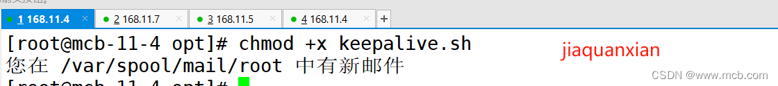 实操keepalived（高可用）+Nginx（四层代理+七层代理），实现高可用、负载均衡以及动静分离,第79张