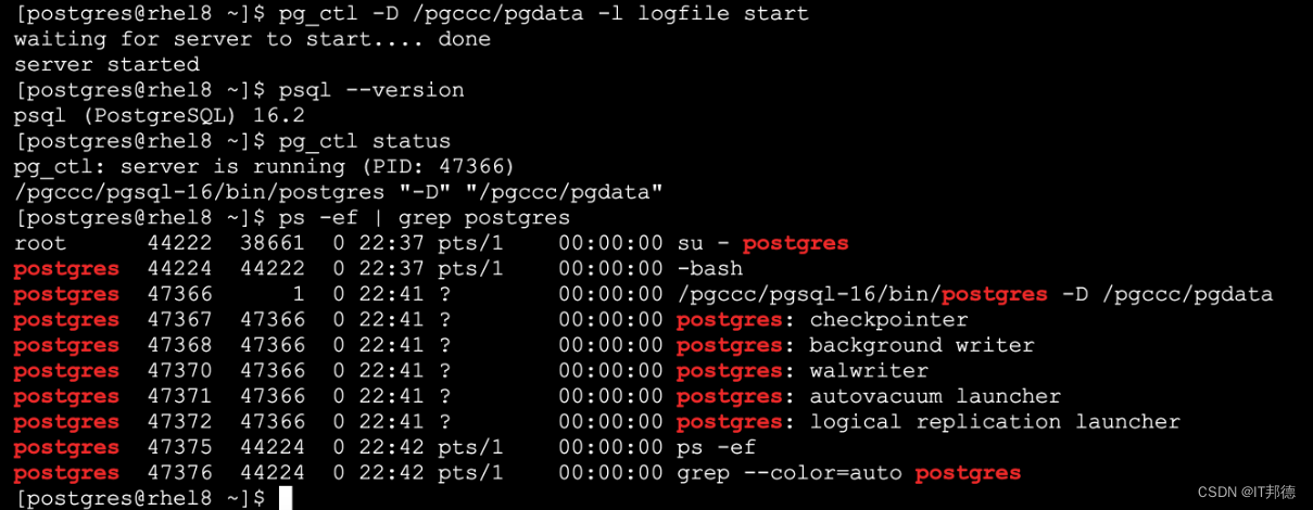 狂飙Linux平台，PostgreSQL16部署大全,在这里插入图片描述,第7张