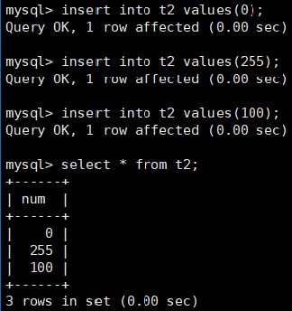 【MySQL】数据类型（常见类型）-- 详解,第9张