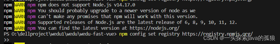 npm WARN npm npm does not support Node.js v14.17.0 npm WARN npm You should probably upgrade to a new,在这里插入图片描述,第1张