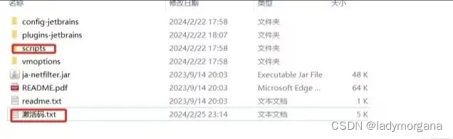 2024 PhpStorm激活，分享几个PhpStorm激活的方案,第28张