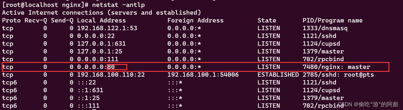 Linux网站搭建（nginx+php+mysql）,第11张