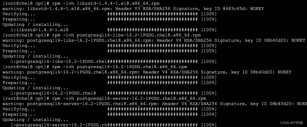 狂飙Linux平台，PostgreSQL16部署大全,在这里插入图片描述,第9张